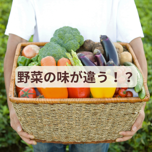 野菜